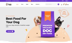 Theme Ziggy